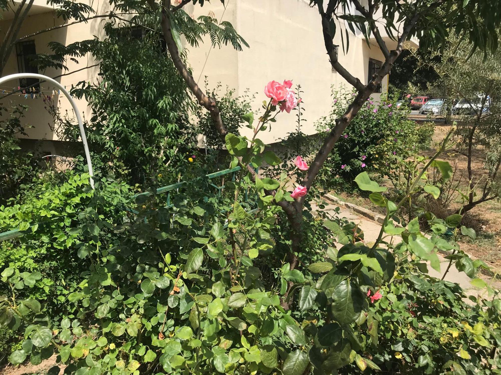Apartament Langa Plaja Diana Mangalia Eksteriør billede